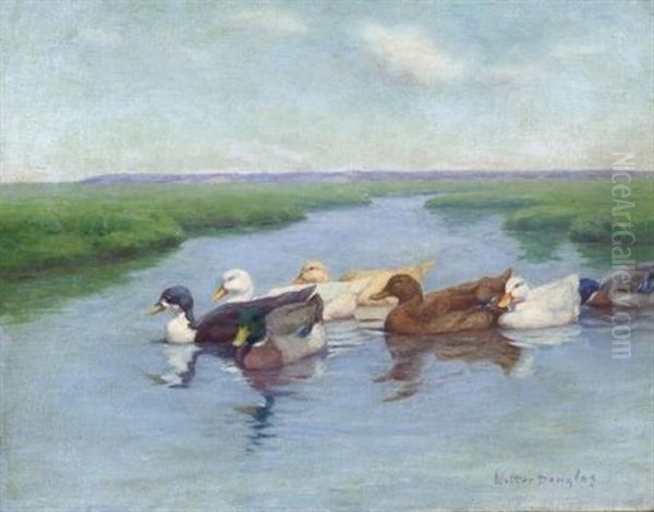 Ducks On A Pond Oil Painting by Walter Douglas