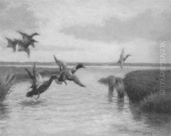 Ducks In Flight Oil Painting by Walter Douglas