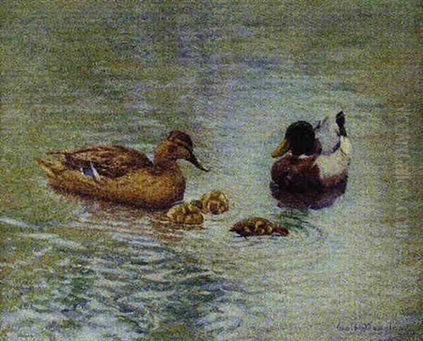 Mallards Oil Painting by Walter Douglas