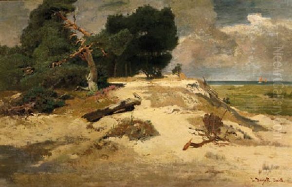 The Shore Of Barth In Summer, With Sailing Vessels On The Baltic Sea Oil Painting by Louis Douzette