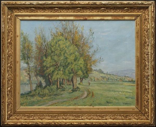 Campagne Genevoise Oil Painting by Theodore Douzon