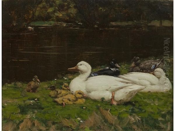 Ducks Resting Oil Painting by Patrick Downie