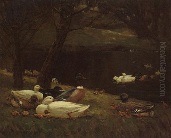 Ducks Oil Painting by Patrick Downie