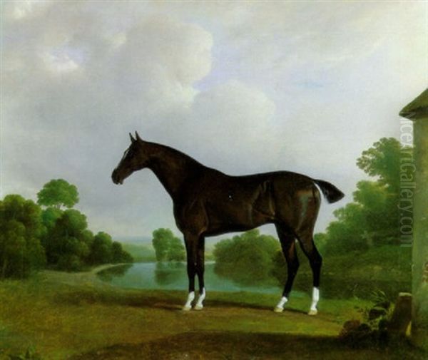 A Black Racehorse With White Stockings Standing In A River Landscape Oil Painting by John Doyle