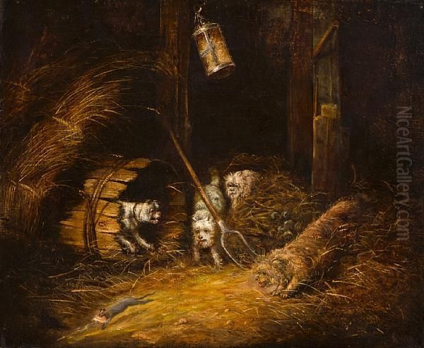 Terriers Ratting Oil Painting by George Armfield