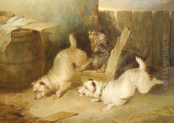 Terriers Ratting Oil Painting by George Armfield