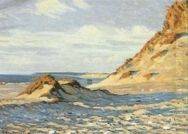 Parti Fra Skagen Strand Oil Painting by Holger Henrik Herholdt Drachmann