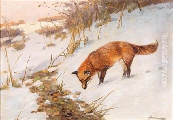 Fox In A Winter Wood Oil Painting by Christopher Drahtmann