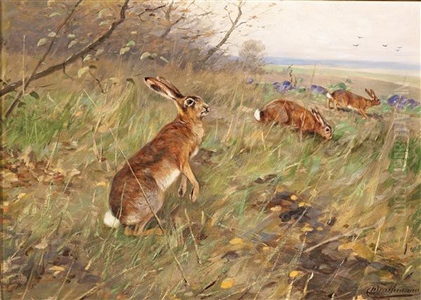 Hares In The Field Oil Painting by Christopher Drahtmann