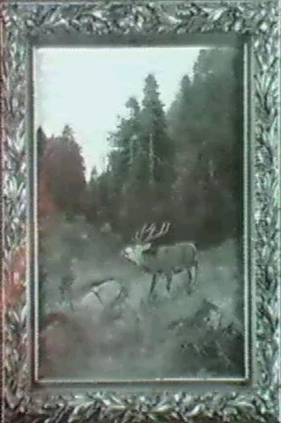 Krohrender Hirsch Auf Der Waldlichtung Oil Painting by Christopher Drahtmann