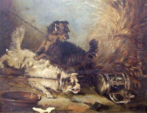 Terriers Ratting In A Barn Oil Painting by George Armfield