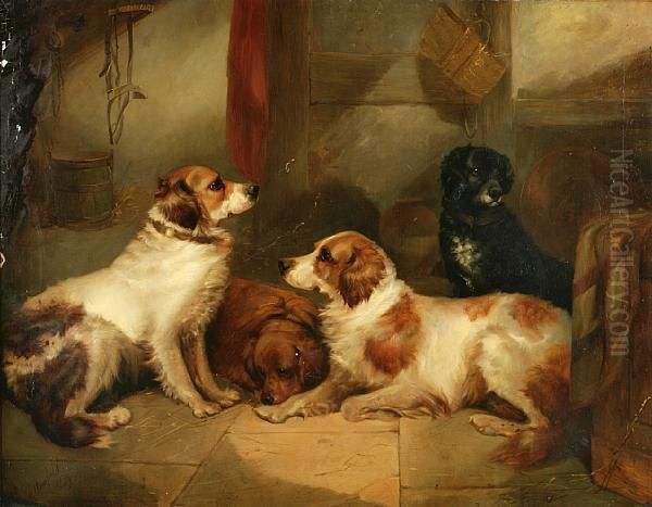 Four Dogs In A Kennel Oil Painting by George Armfield