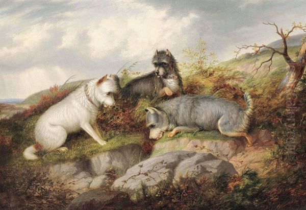 Terriers Ratting Oil Painting by George Armfield