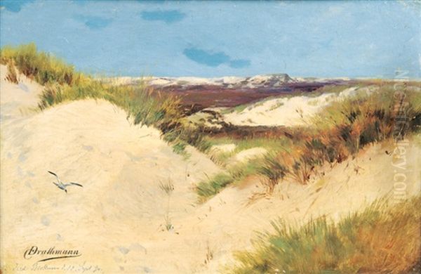 Dunes On Borkum Oil Painting by Christoffer Johann Drathmann