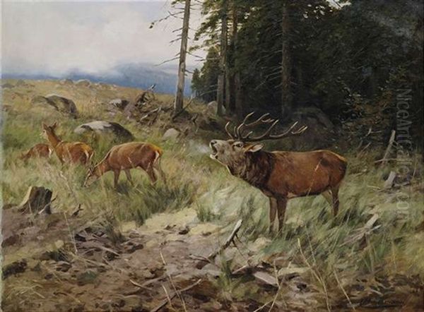 Rohrender Hirsch Und Rehe Am Waldrand Oil Painting by Christoffer Johann Drathmann