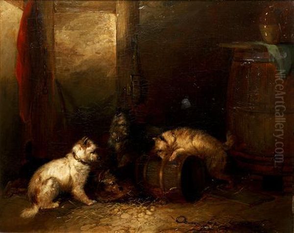 Terriers Ratting In A Barn Oil Painting by George Armfield