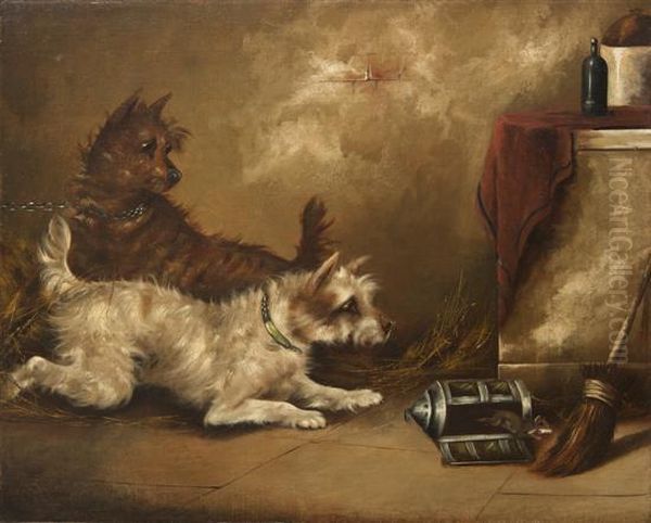 Terriers Ratting In A Barn Oil Painting by George Armfield