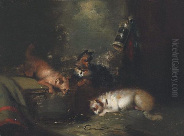 Three Terriers Flushing Game Oil Painting by George Armfield