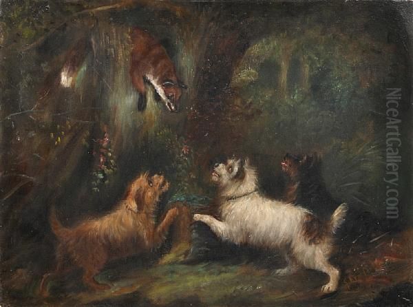 Three Terriers Cornering A Fox Oil Painting by George Armfield