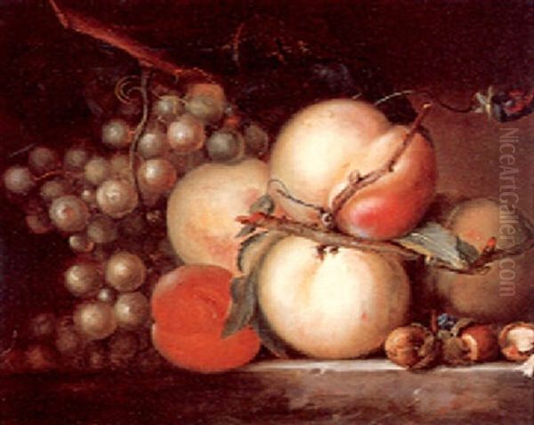 A Still Life With Grapes, Peaches And Nuts Oil Painting by Johann Baptist Drechsler