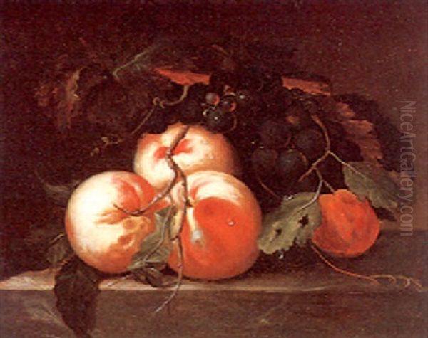 A Still Life With Apples, Grapes And An Abricot Oil Painting by Johann Baptist Drechsler