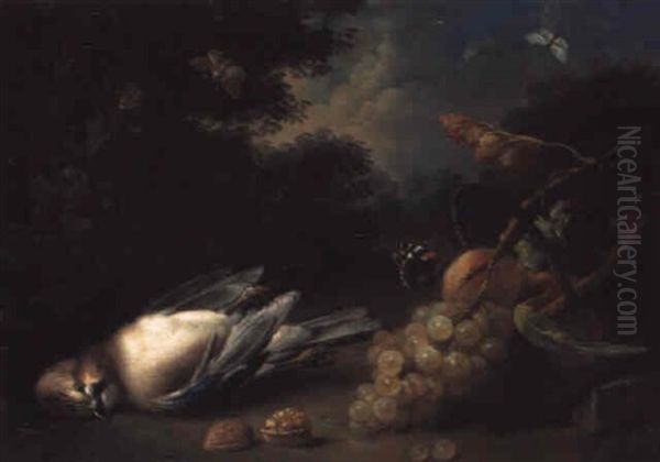 A Dead Jay, A Basket With Peaches And Grapes And A Walnut In A Landscape Oil Painting by Johann Baptist Drechsler