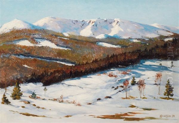 Winter In The Giant Mountains Oil Painting by Hans Dressler