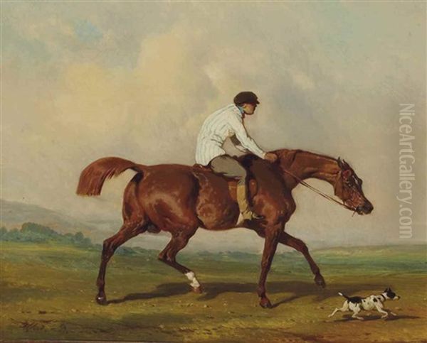 Lad A L'exercice Oil Painting by Alfred De Dreux