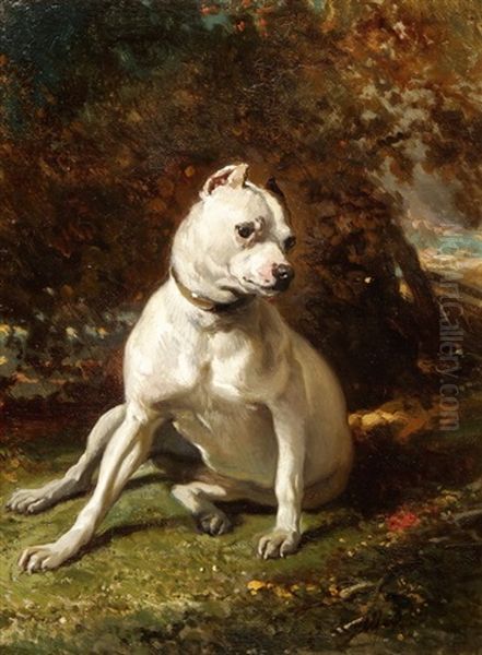 Kleine Bulldogge Oil Painting by Alfred De Dreux