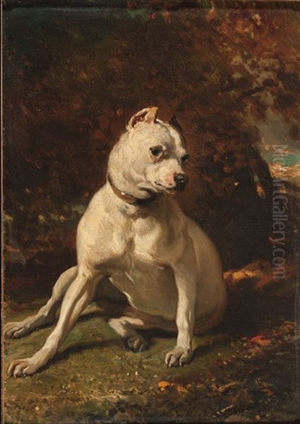 Sitzende Dogge Oil Painting by Alfred De Dreux