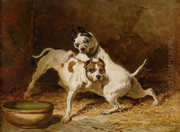 Zwei Spielende Hunde Oil Painting by Alfred De Dreux