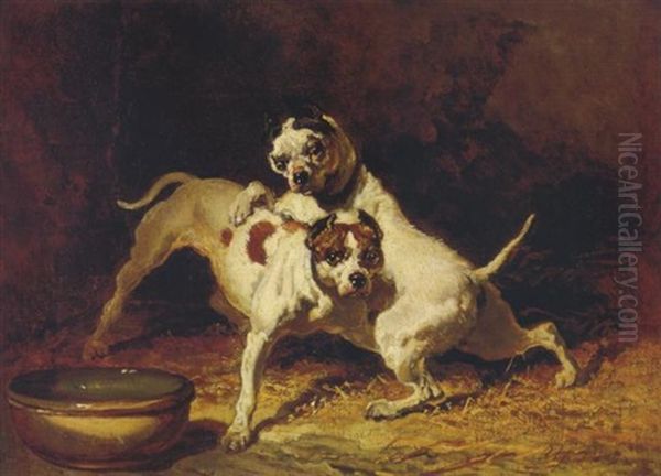 Spielende Hunde Oil Painting by Alfred De Dreux