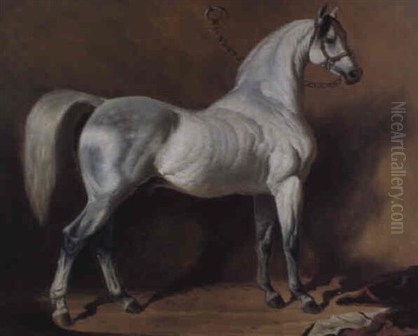 An Arab Stallion Oil Painting by Alfred De Dreux