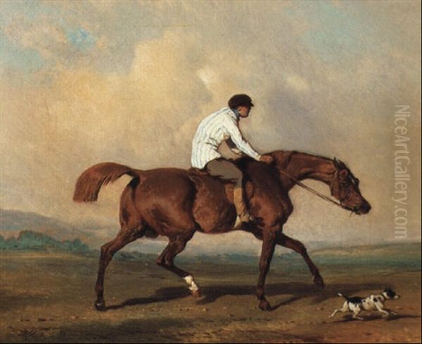 Le Jockey A Cheval Oil Painting by Alfred De Dreux