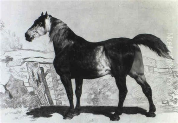 Le Percheron Oil Painting by Alfred De Dreux