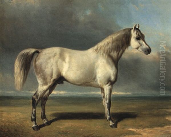 Cheval Dans Une Prairie Oil Painting by Alfred De Dreux