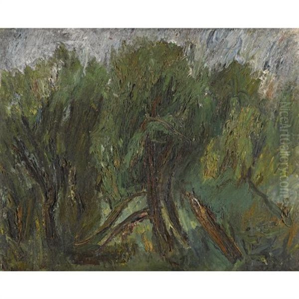 Willows, Altai Oil Painting by Aleksandr Davidovitch Drevin