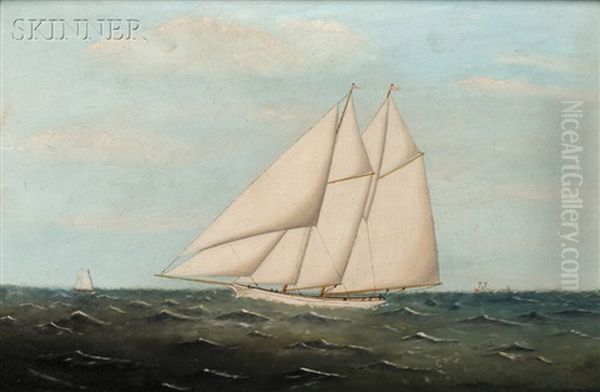 Schooner Under Full Sail Oil Painting by Clement Drew