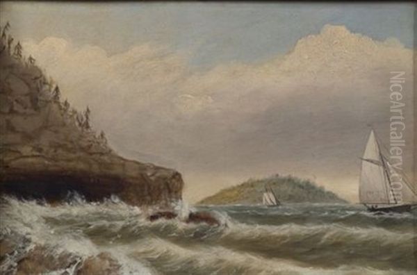 Schooner Head, Mount Desert Oil Painting by Clement Drew