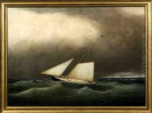 A Racing Cutter In Heavy Seas Oil Painting by Clement Drew