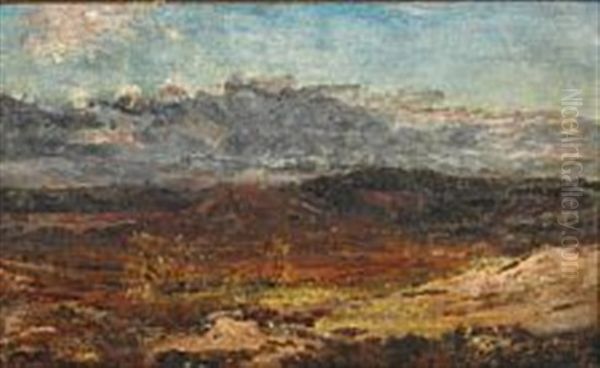 Moor Landscape, Jylland Oil Painting by Dankvart-Christian-Magnus Dreyer