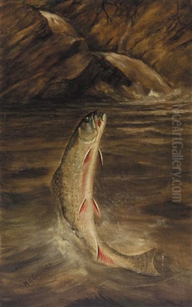 Leaping Trout Oil Painting by Harry Driscole