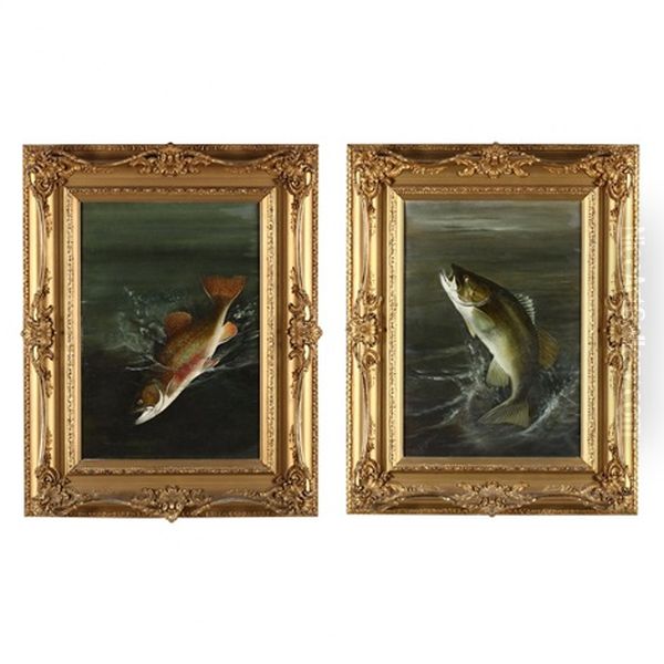 Pair Of Fish Portraits Oil Painting by Harry Driscole