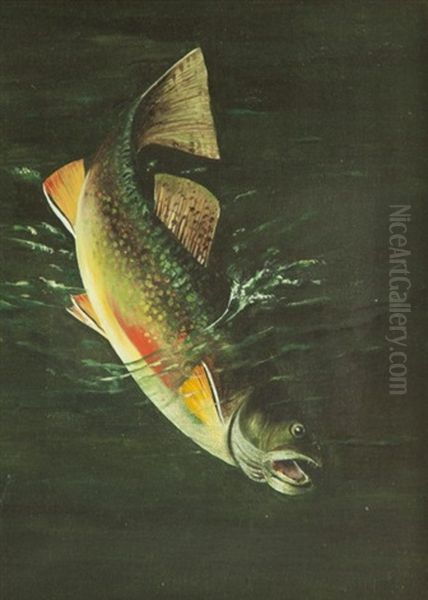 Trout Oil Painting by Harry Driscole