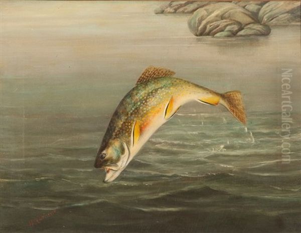 Brook Trout Oil Painting by Harry Driscole