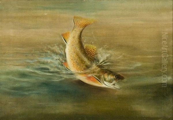 Brook Trout Oil Painting by Harry Driscole