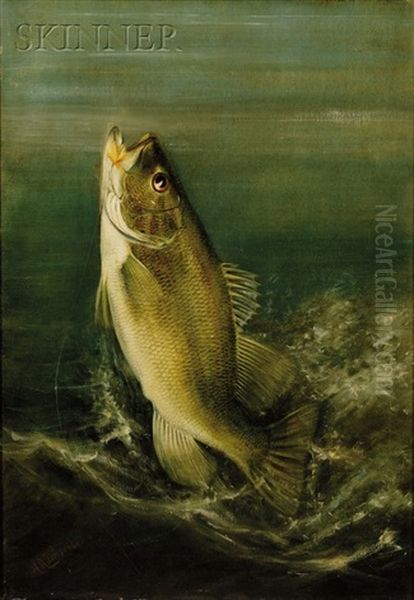 Small Mouth Bass Oil Painting by Harry Driscole