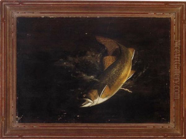 Brook Trout Oil Painting by Harry Driscole