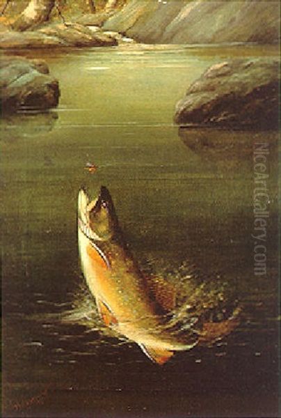 Jumping Trout Oil Painting by Harry Driscole