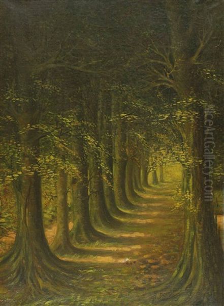 Baumallee Im Wald Oil Painting by Albert Droesbeke